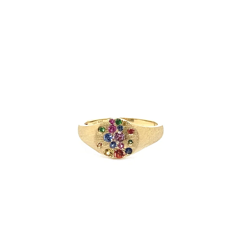 eternity rings for women -Rainbow Sapphire Confetti Signet Ring